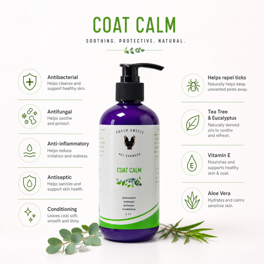 Coat Calm Shampoo 8oz