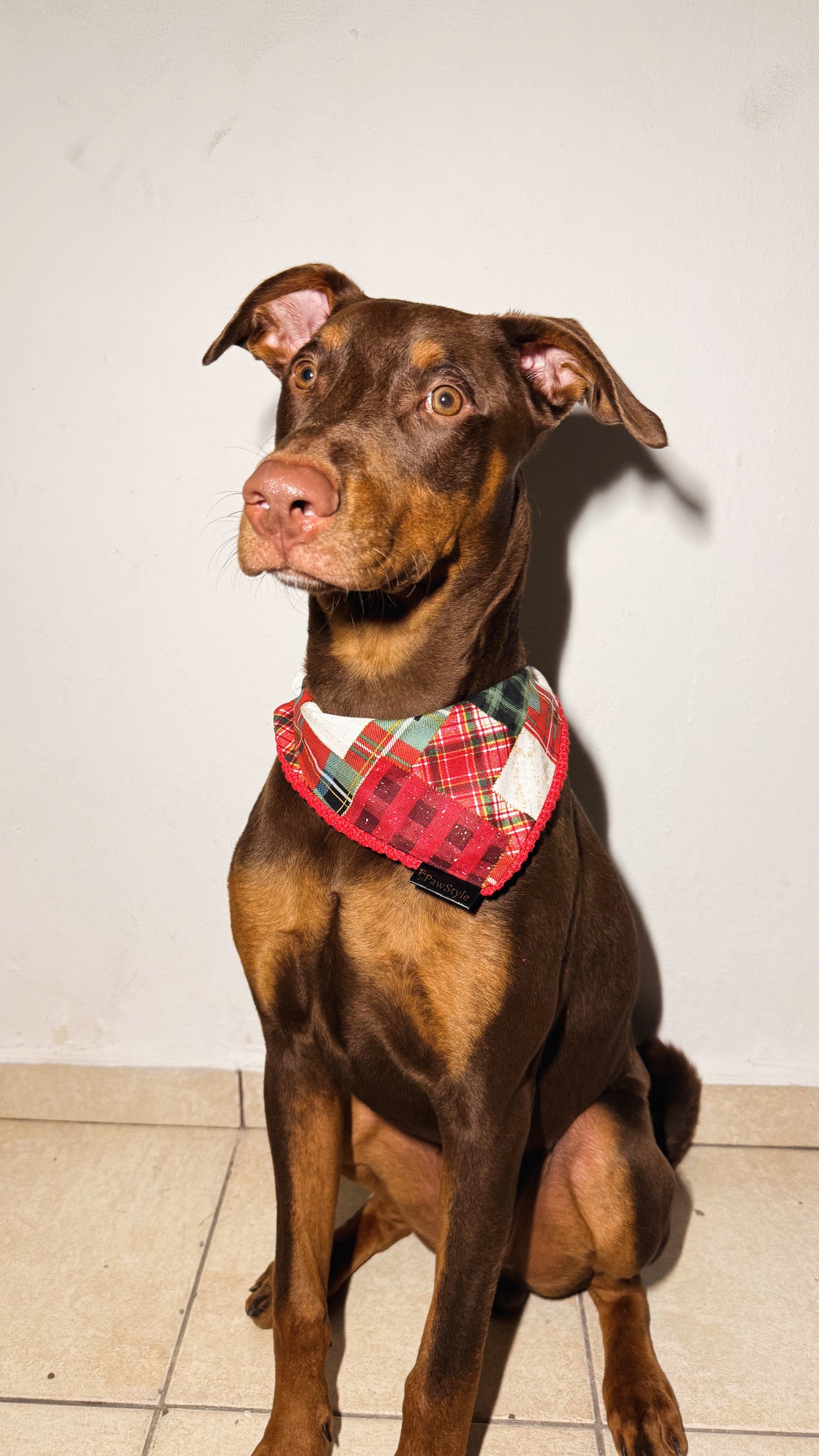 Sweater Reversible Bandana