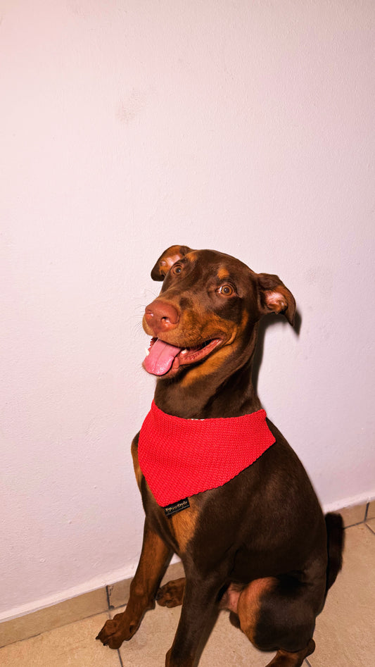 Sweater Reversible Bandana